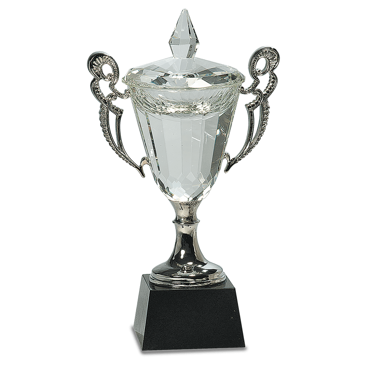 11 1/4" Crystal Cup with Silver Handles and Stem